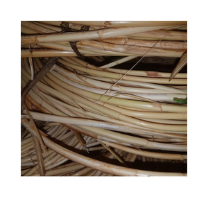 Bastón/poste de ratán de material de ratán de alta calidad de fábrica en Vietnam - Product Image 1