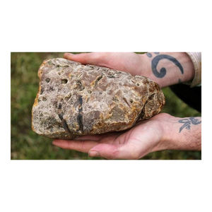 Cápsulas de Extracto Animal de Ámbar Gris Blanco para Mayoristas e Importadores a Precio de Fábrica Económico para Uso Cosmético - Product Image 6