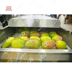 Nước ép trái cây máy ép trái cây vắt Máy ổi nước trái cây bột giấy mứt dây chuyền sản xuất ổi mứt Máy làm ổi Máy nghiền bột - Product Image 4