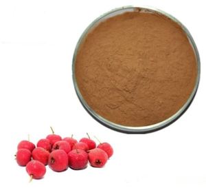 Suplemento en polvo de extracto de bayas de espino etiquetado personalizado, venta al por mayor, extracto de hierbas de tipo de extracción solvente - Product Image 1
