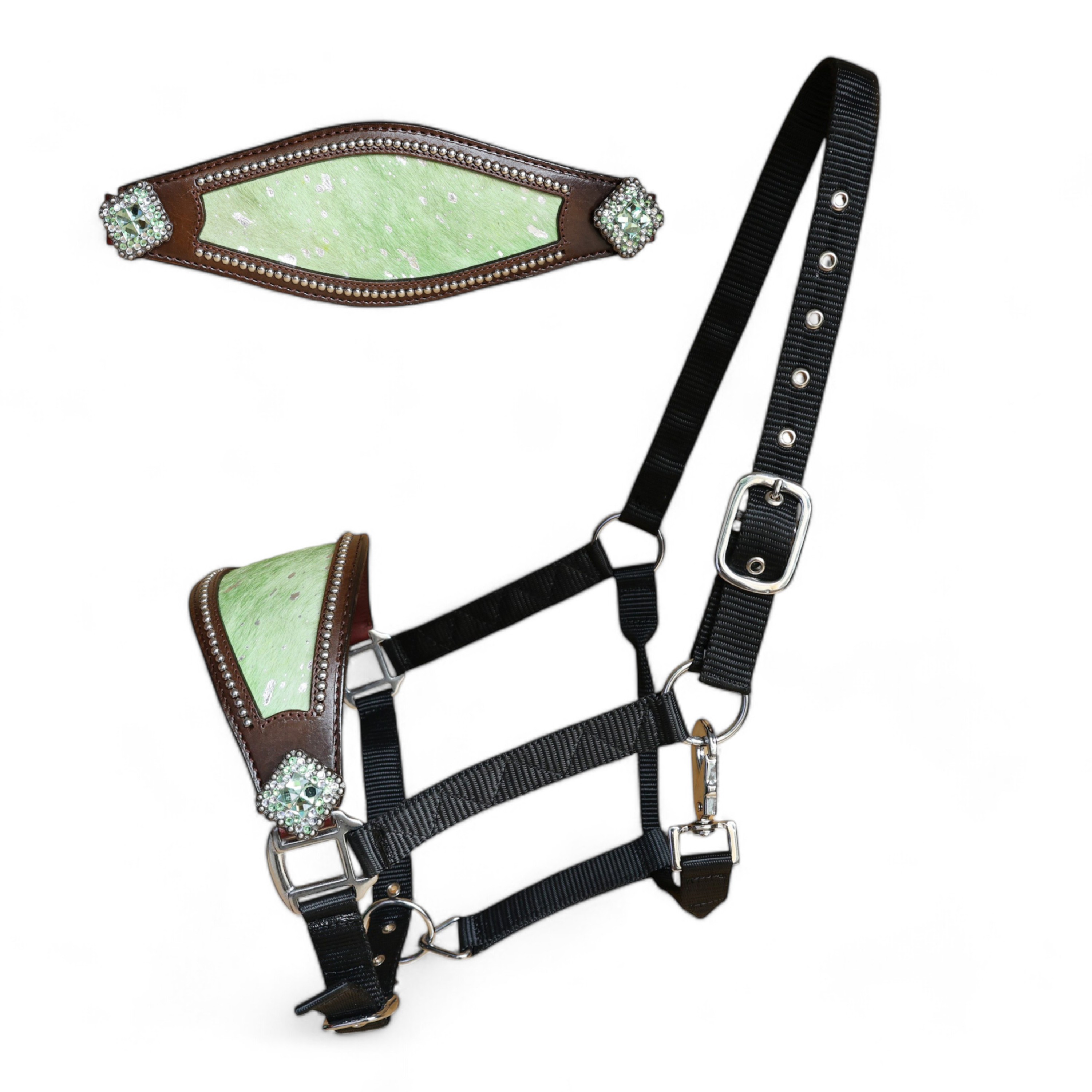 Parrot Green