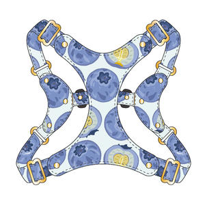 רתמת כלבים מתכווננת, סט רתמה ורצועה לכלבים קטנים, רתמה קלה ורכה לחיות מחמד, רתמה נגד חנק, רתמה נגד בריחה לחיות מחמד - Product Image 1