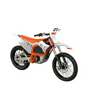 Motocicleta Eléctrica Todoterreno Tewa Moto M.3 Pro para Adultos, 74V 50Ah 21kW, Original, Nueva, en Oferta, con 2 Años de Garantía, Disponible para Pedidos al por Mayor - Product Image 6