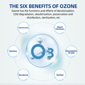 Soudron điện 50g/L Máy lọc nước Ozone hồ bơi ozonator 400L thép không gỉ xử lý nước tùy chỉnh OEM ODM - Product Image 4