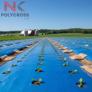 Lámina de Polietileno Resistente al Frío y al Calor para Campos, para Condiciones Climáticas Adversas, Lámina de Polietileno de Doble Recubrimiento para Campos, para Durabilidad en Exteriores - Product Image 2