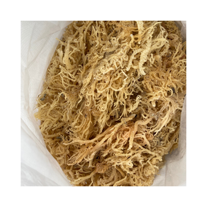 2025 alta calidad puro limpio seco musgo irlandés HOT DEAL RAW SEAMOSS-MUSGO DE MAR PÚRPURA en Vietnam - Product Image 6