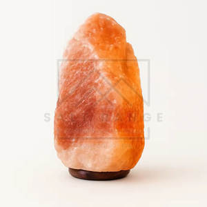 Lampe de sel de l'Himalaya naturelle pour la décoration intérieure, écologique, de haute qualité, sculptée, en vente en ligne - Product Image 3