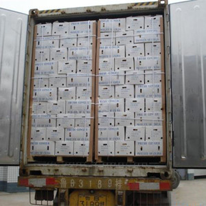 Gingembre frais pour l'exportation - Product Image 2