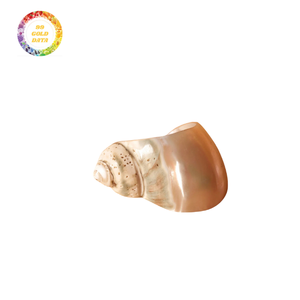 Elegante 99 Gold Data Seashell Servilleteros Shell pulido con estilo Angel - Product Image 6