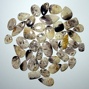 Cabujón Natural de ágata de raíz de Palma, piedra preciosa pulida a mano, lote de ágata de raíz de Palma suelta para fabricación de joyas - Product Image 5