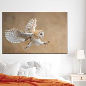 Arte de pared de cristal con diseño de búho granizo: Decoración de cocina con motivos de vida silvestre, lienzo impreso, 1 lienzo enrollado - Product Image 1