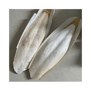 Top Vente Vietnamien Séché Naturel Blanc Os De Seiche Oiseau Nourriture Calmar Os Seiche Os De Poisson Supplément Nutritionnel pour L'alimentation - Product Image 5