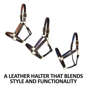 Doble puntada contraste Color acolchado cuero caballo Halter Premium grado A cuero de búfalo ajuste ajustable Hardware sólido uso diario - Product Image 2