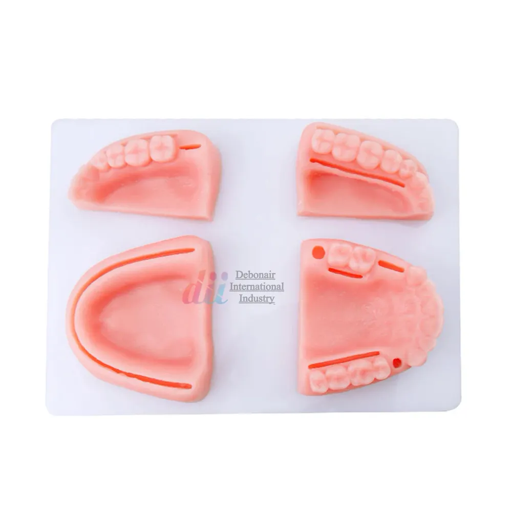 Almohadilla de Sutura Dental 3D, Almohadilla de silicona para práctica Dental, 32mm, Almohadilla de Sutura para entrenamiento Dental, Almohadilla de Sutura para estudiante