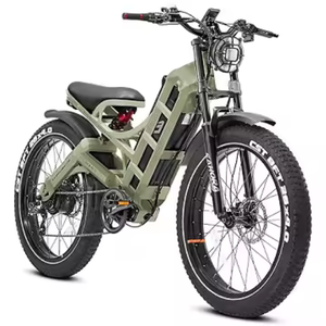 Vélo électrique de style européen 2024, 36V 250W 350W, longue autonomie, vélos électriques intelligents pour adultes - Product Image 1