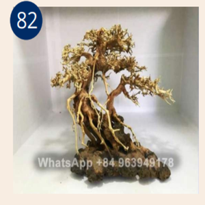 Handmade Bonsai Driftwood Aquarium Decoration Irregular Shape Eco-Friendly For Fish <b>Tank</b> Multi Size Made In Vietnam - Product Image 6
