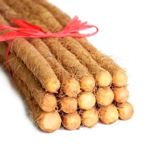 Raíces de Ñame Calaba Frescas de Alta Calidad, Venta al por Mayor a Granel, Proveedor de Exportación Directo de Fábrica para Supermercados, Restaurantes y Compradores de Servicios de Alimentación - Product Image 1