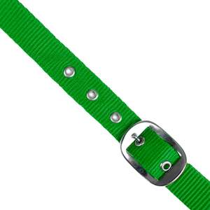 Ajustable fuerte Nylon caballo Halter cómodo duradero entrenamiento Headcollar venta al por mayor a granel caballo tachuela directo de fábrica ecuestre - Product Image 3