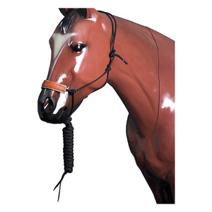 Muserolle en cuir pliée classique avec logo personnalisé pour l'équitation et la conduite - Product Image 1