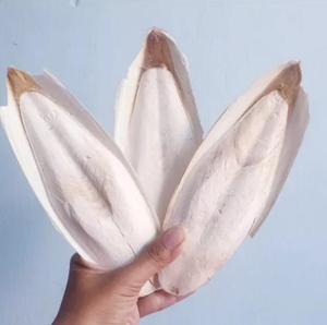 Fournisseur B2B de matières premières de seiche de qualité supérieure pour les produits de la mer séchés traditionnels asiatiques Meilleur - Product Image 2