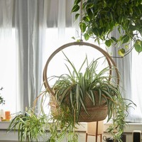 Nouveau design tendance jardinière d'intérieur pot décor de jardin jardinières en rotin paniers suspendus fabriqué au Vietnam