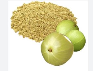 Polvo Amla rico en hierro de alta calidad utilizado para la salud corporal, fabricantes y exportadores al por mayor de La India con embalaje personalizado - Product Image 4