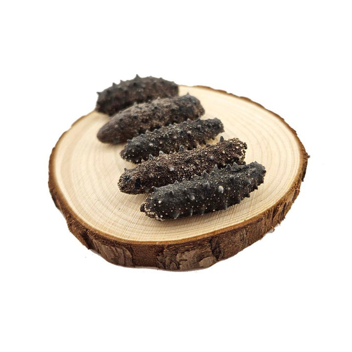 High Quality Natural Frozen Sea Cucumber Trepang Boiled and Salted Dried Style Preserved Boiled Sea Cucumber