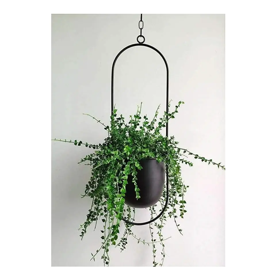 Metalen Hangende Plantenbak Mand Decoratieve Bloempotten Hanger Bloempot Opknoping Ketting Voor Tuin