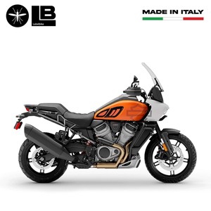 Adesivi Personalizzati per Moto Compatibili con Protezioni Laterali per Harley Davidson Pan America - Product Image 3