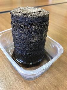 Tablette de tourbe de fumier de tourbe Ø 85 mm pour la culture de semis - Product Image 2