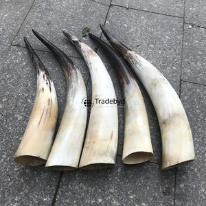 Artisanat en corne de qualité supérieure Tradebyd, style animal, matériau écologique et biologique, décoration de maison de luxe, collection de cadeaux - Product Image 3