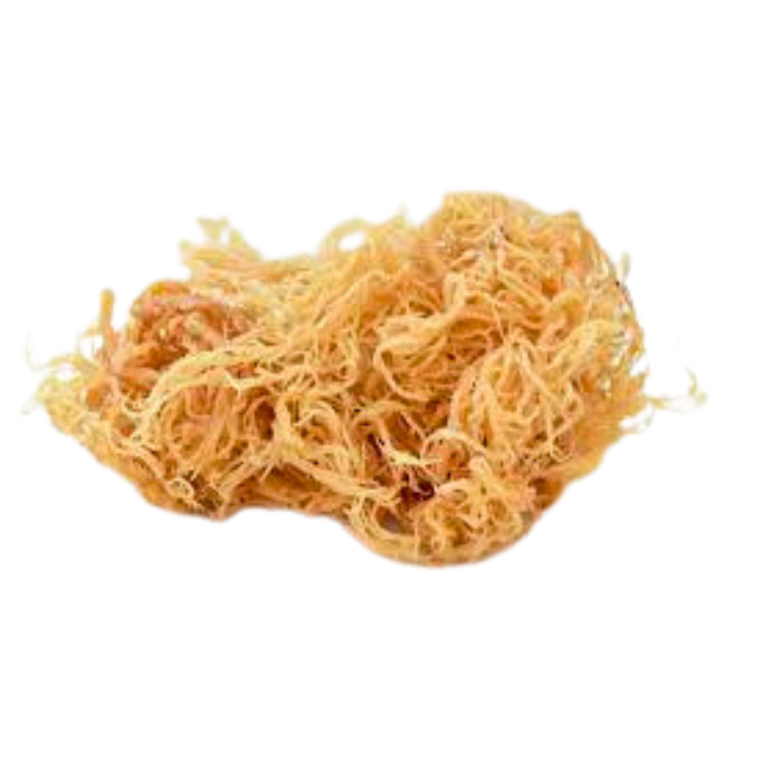 100% натуральные ирландские морские водоросли, сушеные водоросли eucheuma Cottonii по конкурентоспособной цене во Вьетнаме