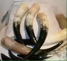 100% Cuerno vikingo natural para beber cerveza bebiendo cuerno de vaca hecho a mano por Artesanías de media luna - Product Image 4