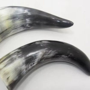 Fabriqué à la main 100% naturel Viking médiéval corne à boire conception de Style religieux Unique corne de bière économique à vendre - Product Image 1