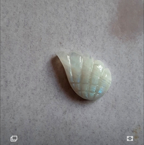 Cabochon en coquille sculptée en pierre de lune arc-en-ciel naturelle pour la fabrication de bijoux en gros - Product Image 3