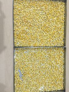 20kg Lyophilisateur Lyophilisateur Alimentaire Lyophilisateur Lyophilisateur pour Jack Fruit Orange Jack Fruit Sticks Machine - Product Image 3