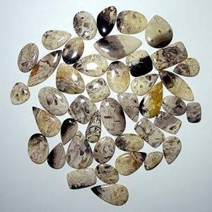 หินอัญมณีฟอสซิลรากปาล์มธรรมชาติที่สวยงามอัญมณีหลวมรูปร่างผสมรากปาล์มฟอสซิลอัญมณีใช้ทำอัญมณี - Product Image 5