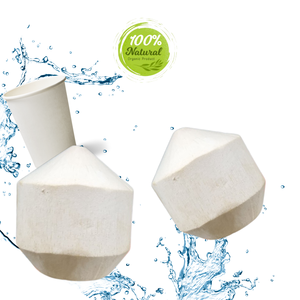 มะพร้าวเพชรปอกเปลือกบรรจุอย่างไรสำหรับตลาดโลก - Product Image 4