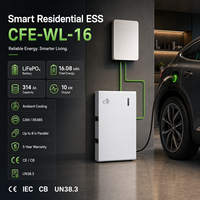 Batterie hybride CAN LiFePO4 Long Life CFE-WL-16 16 kWh pour réseau, 6000+ cycles, 51,2 V, stockage d'énergie solaire résidentiel