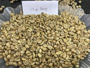 Café Arábica de la más alta calidad en grano verde Robusta fino directamente de la granja, característica adelgazante tostada empaquetada, precio de bolsa de 60kg/PP - Product Image 2