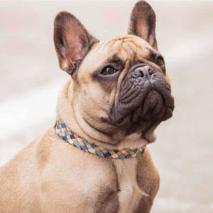 Collier pour chien en cuir avec boucle sécurisée, réglable et confortable, pour une utilisation en intérieur et en extérieur - Product Image 2