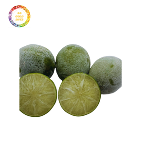 Cubos de Lima congelada IQF de calidad excepcional para la industria alimentaria El mejor precio con embalaje al vacío de 99 DATOS dorados - Product Image 4