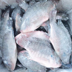 Pescado Mantarraya Congelado de Aguas Profundas, Calidad Premium, Grado de Exportación, Bajo en Grasa, Sin Aditivos, Envío Inmediato, Mercados Globales, Limpio, Congelado - Product Image 1