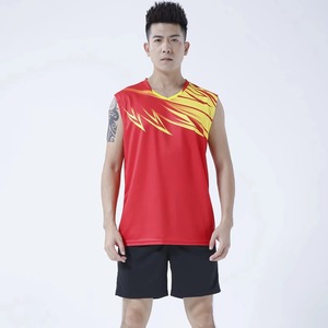 2024 été Offre Spéciale hommes séchage rapide Badminton & Tennis costume 2 pièces ensemble d'entraînement volley-ball uniforme vêtements - Product Image 3