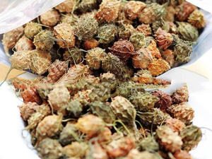 MELÓN AMARGO SECO AL POR MAYOR, TÉ DE HIERBAS NATURAL DE CALIDAD PREMIUM, SUMINISTRO DE EXPORTACIÓN, OFERTA CALIENTE, PRODUCTO TOP VENTAS, OFERTA AL MEJOR PRECIO - Product Image 4