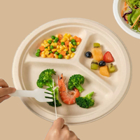 Offre Spéciale – Contenant Alimentaire Biodégradable Jetable de Qualité Alimentaire : Gobelet, Bol, Assiette à Soupe et Assiette à Dîner pour Plats à Emporter