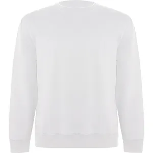 Felpa in Cotone Biologico Batian, Felpe e Maglioni Promozionali Sostenibili - Product Image 1