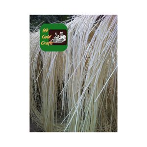PROVEEDOR PROFESIONAL DE MATERIA PRIMA DE RATÁN DE VIETNAM PARA LOS MERCADOS EUROPEOS FUENTE CONFIABLE COMPONENTES DE MUEBLES SOSTENIBLES - Product Image 6