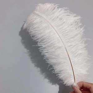 Fournisseur de plumes en gros pleine grandeur 25-30cm plumes d'autruche vert foncé naturel pas cher pour la vente d'artisanat - Product Image 4