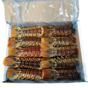 Живой омар, колючий Омар, замороженный хвост омара - Product Image 4